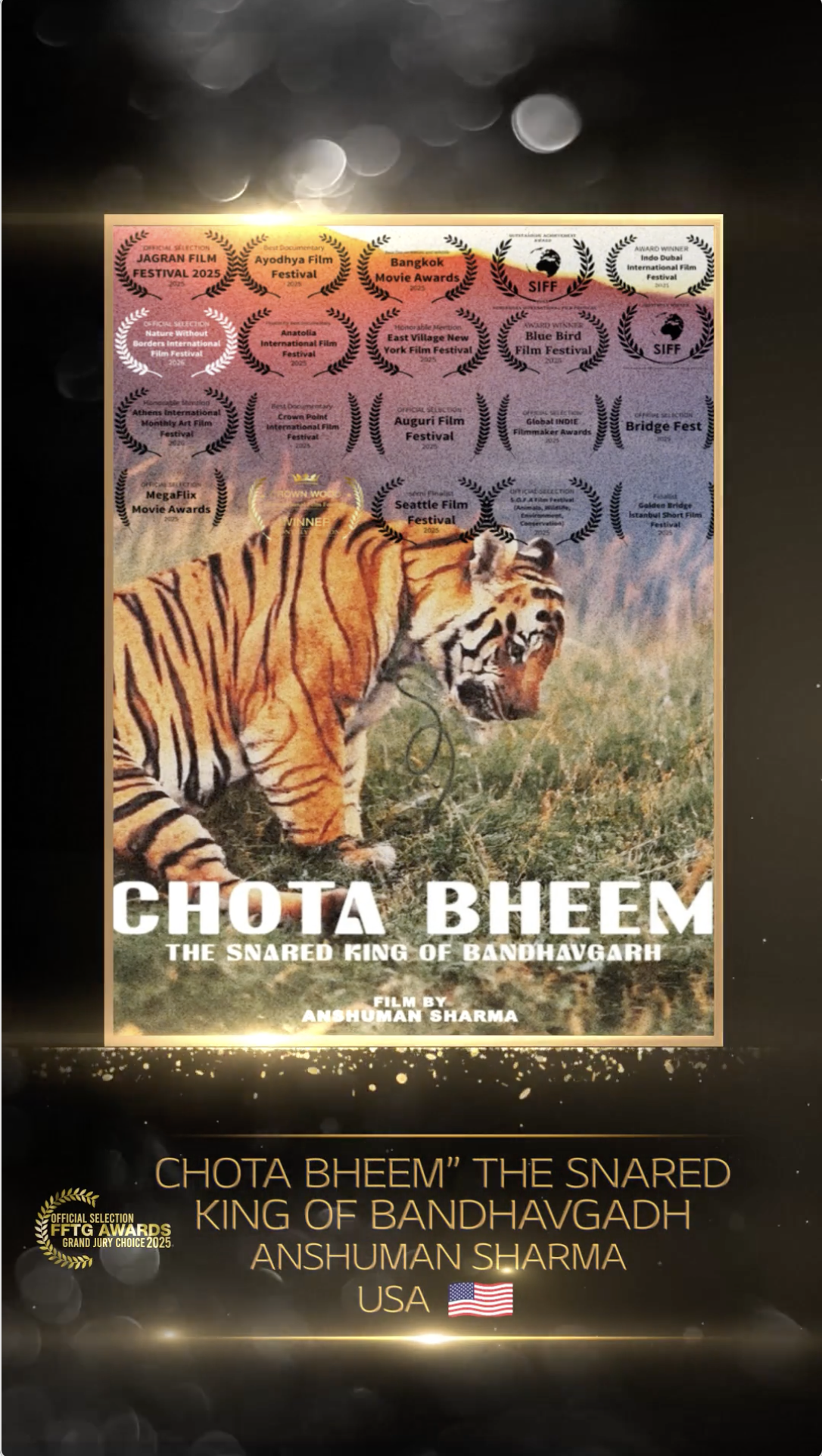 Read more about the article Chota Bheem: The Snared King of Bandhavgadh